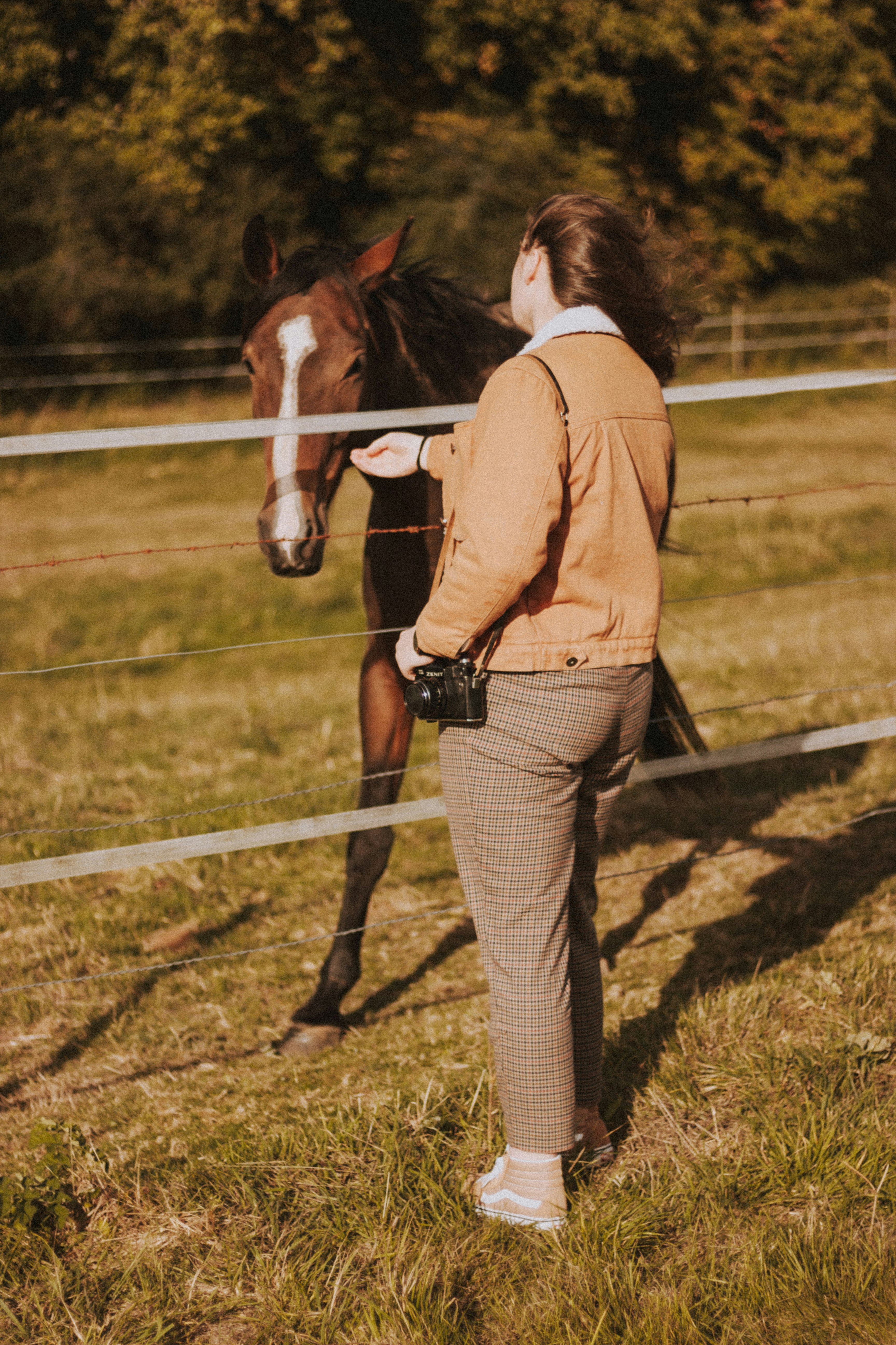 woman wears brown jacket facing brown horse